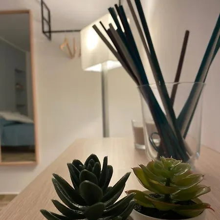 فندق مبيت وإفطار Kola 3*